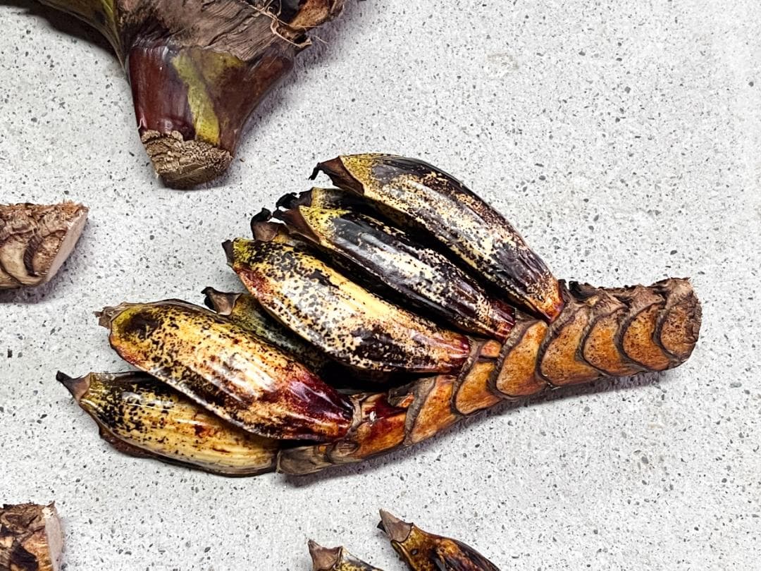 開いてからのお楽しみ傷や汚れあり