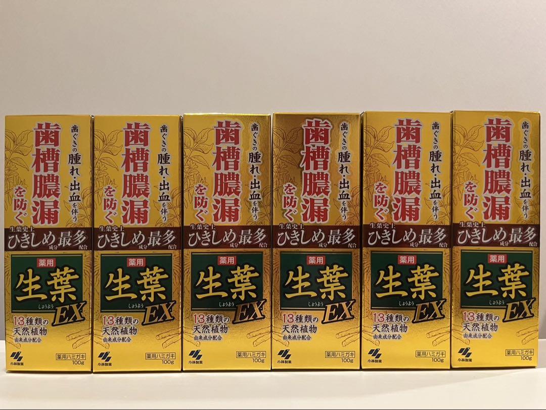 【新品・未開封】 小林製薬 薬用 生葉EX 100g x 6本