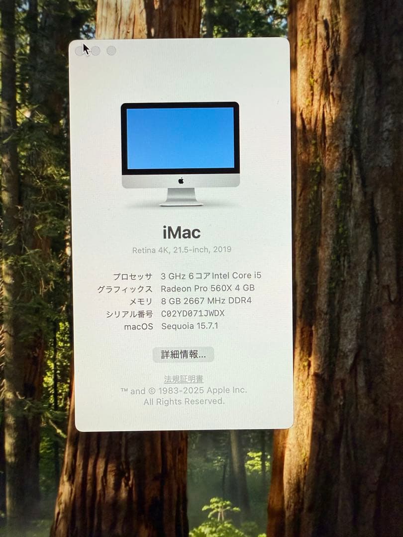 iMac Retina 4K 21.5インチ 2019 i5 8GBApple WWW_MEBLE-SODAR_PL