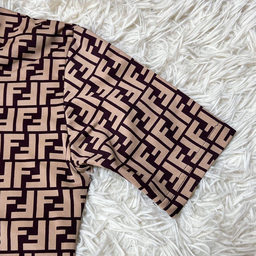 FENDI フェンディ 半袖 総柄 カットソー 38 ブラウン ズッカ フェンディ FENDI ズッカ柄 カットソー Tシャツ ロゴ総柄