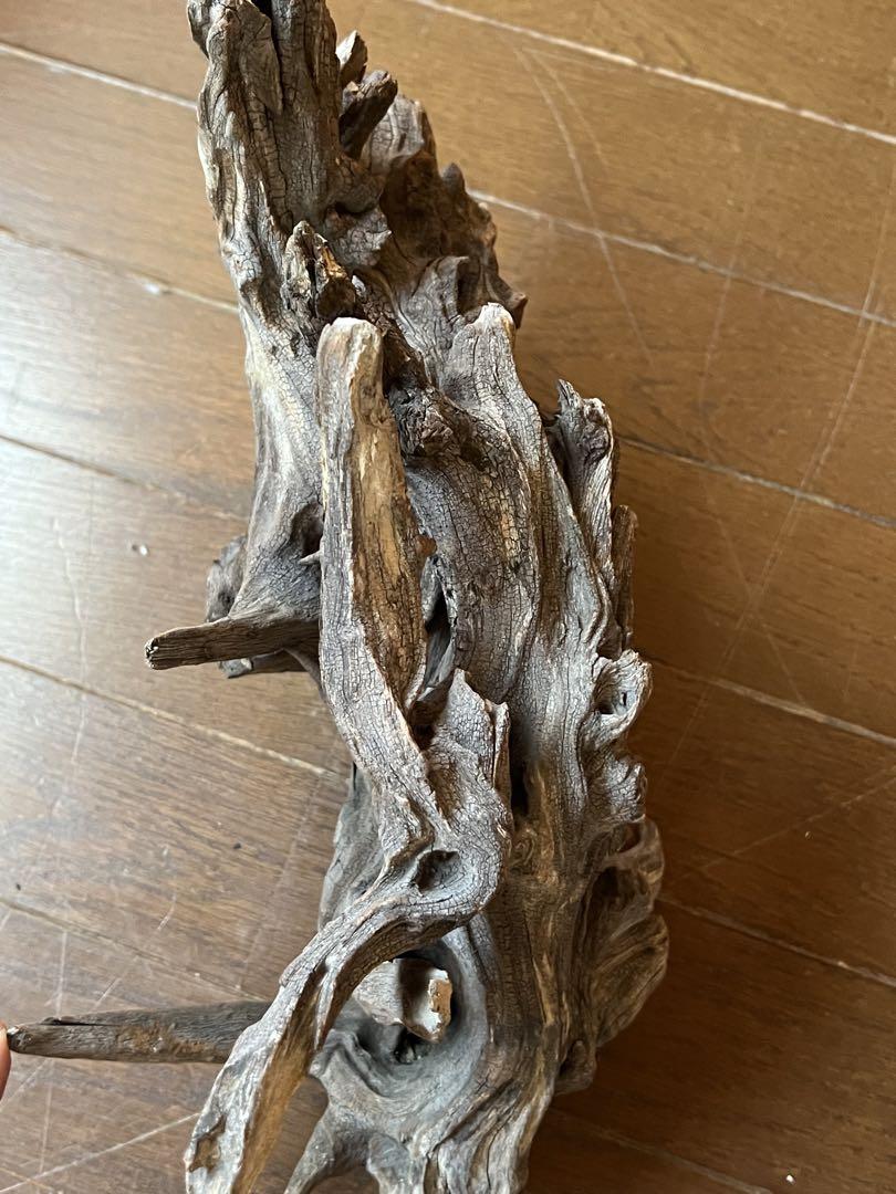 大きめな流木　アクアリウム