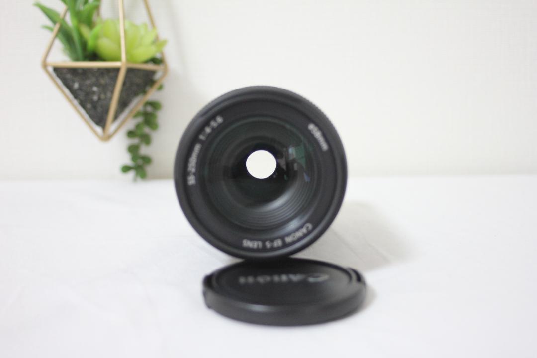 Canon EOS Kiss X2 ダブルレンズキット 初心者お手軽セット✨