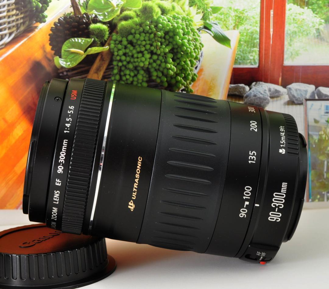 カシャの先に！ Canon キヤノン EF90-300mm 望遠レンズ ♦3
