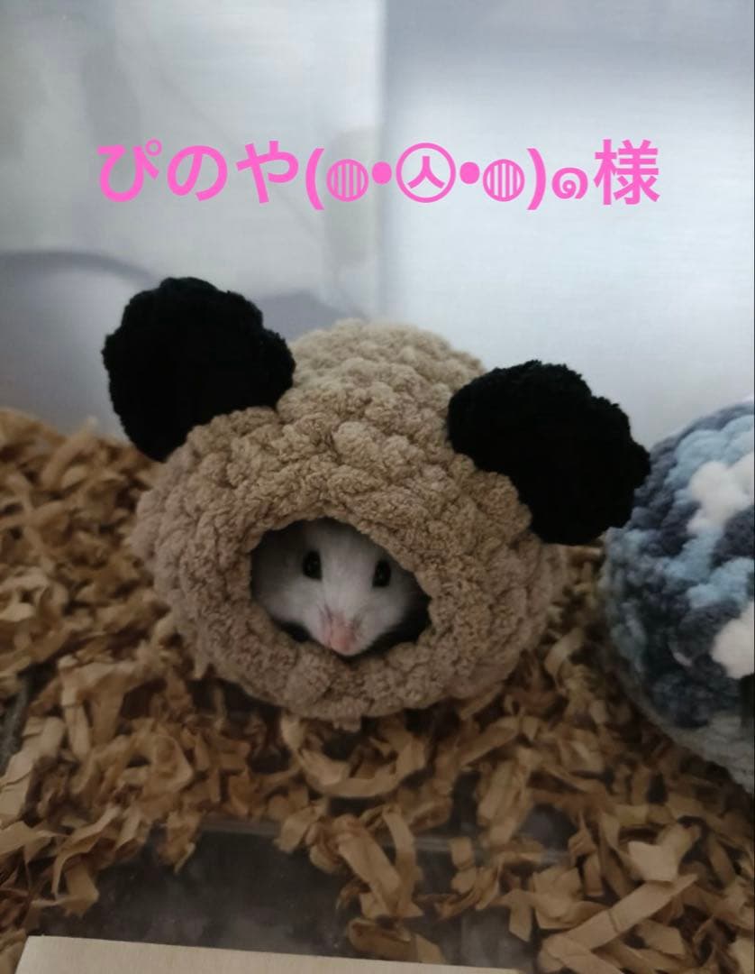 ハムスターハウス♡ ぴのや(◍•㉦•◍)๑様