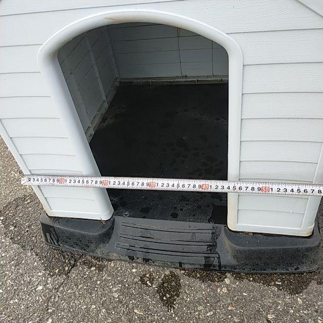 犬小屋