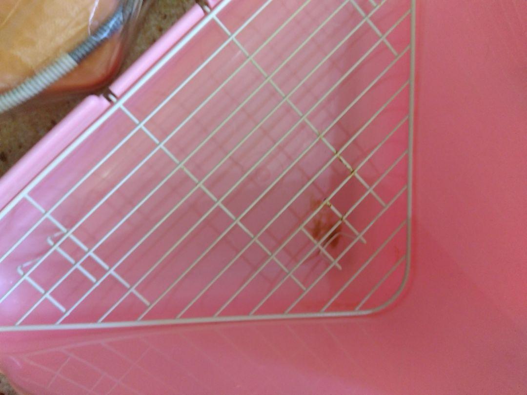 うさぎ　SANKO　飼育セット