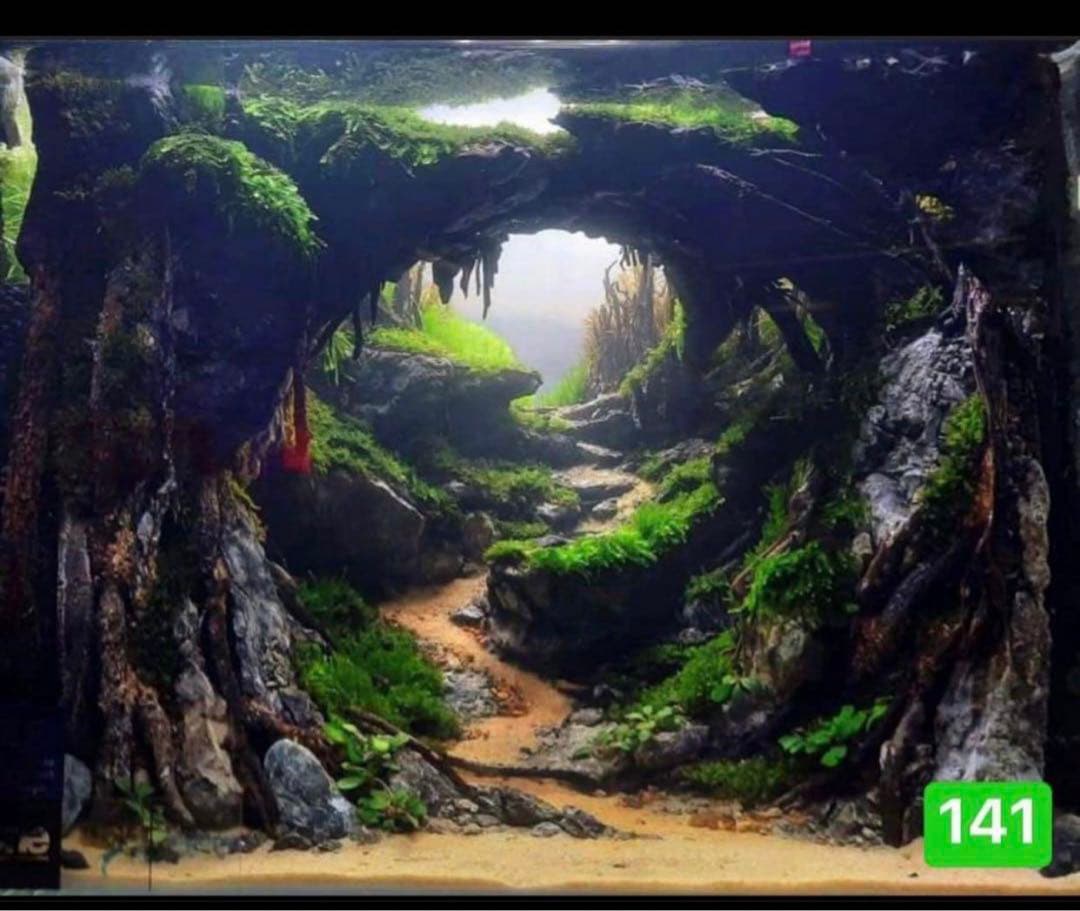 水槽用流木レイアウト　魚の水槽、 水草用の流木。流木アクアリウム　盆栽流木