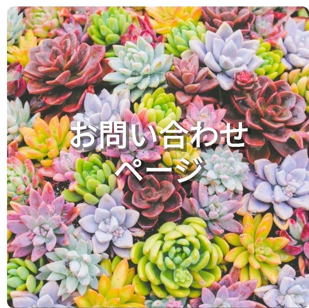 お問い合わせページ