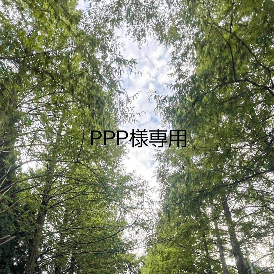 PPP様専用