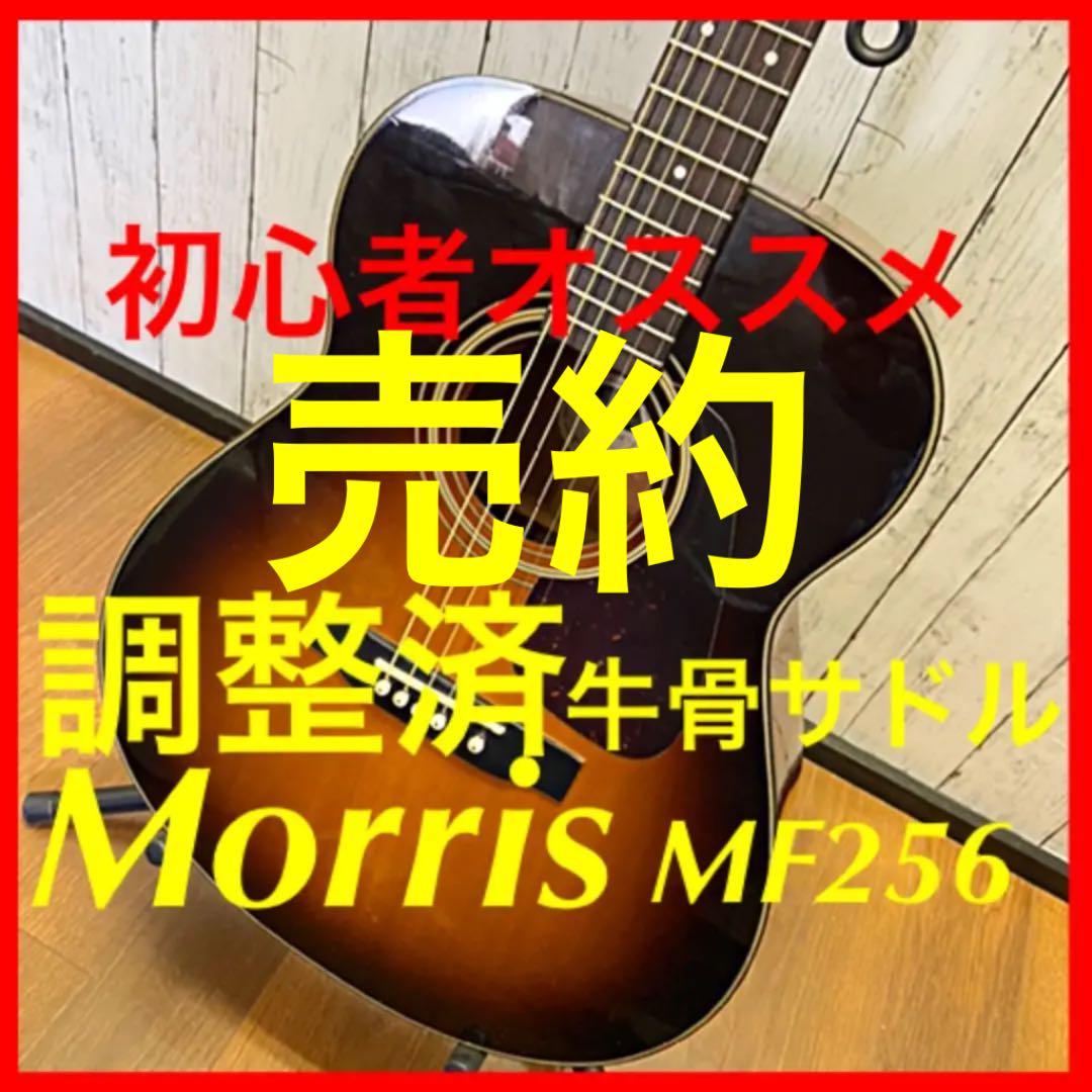 調整済♪牛骨サドル仕様♪モーリス アコースティックギター MF256