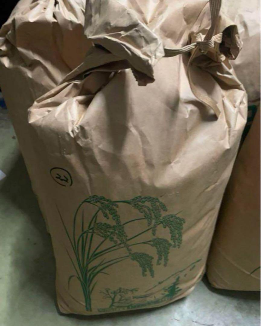 古米　ヒノヒカリ　20kg 2023年産