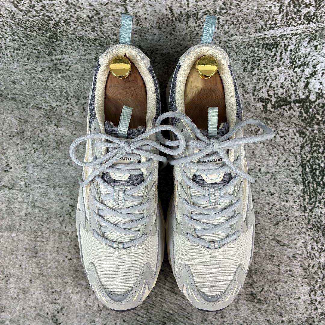 Mizuno Wave Rider 10 グレー