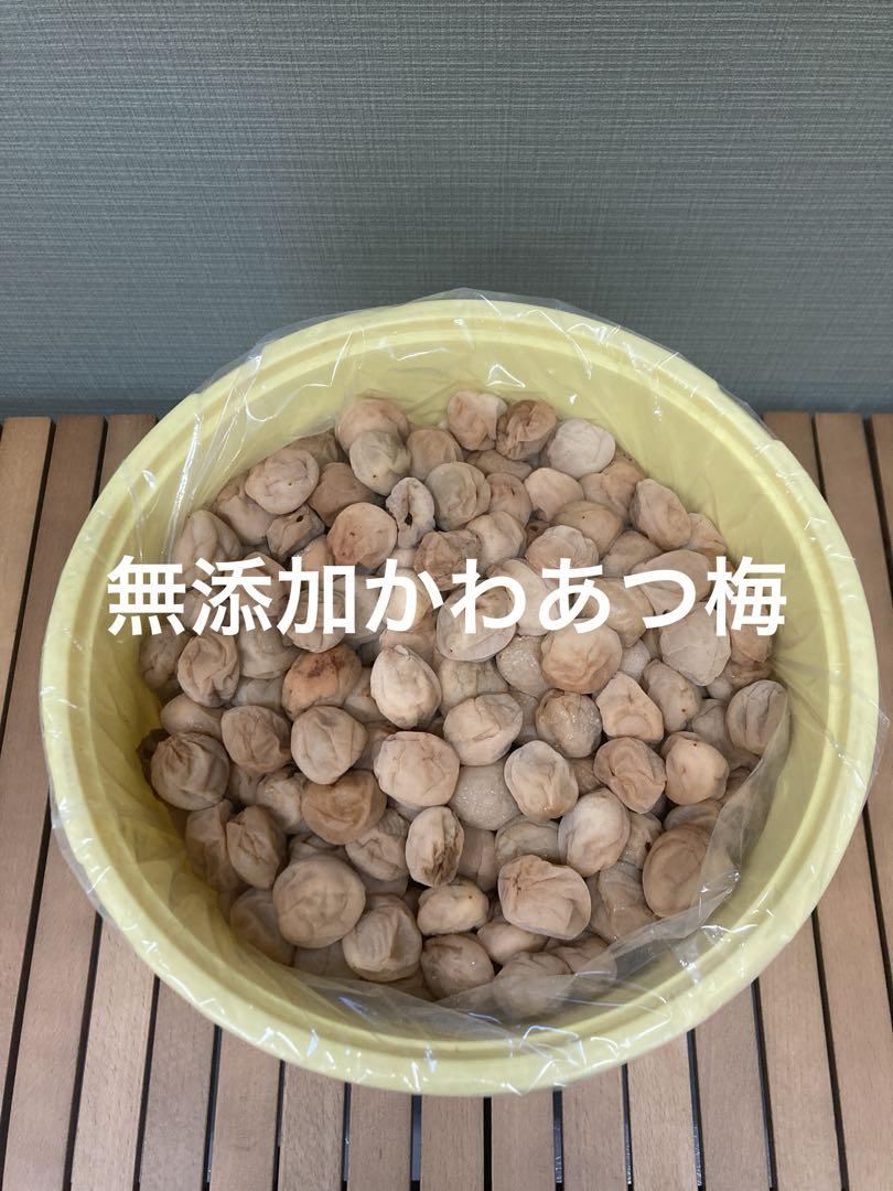 無添加かわあつ梅10kg白干し