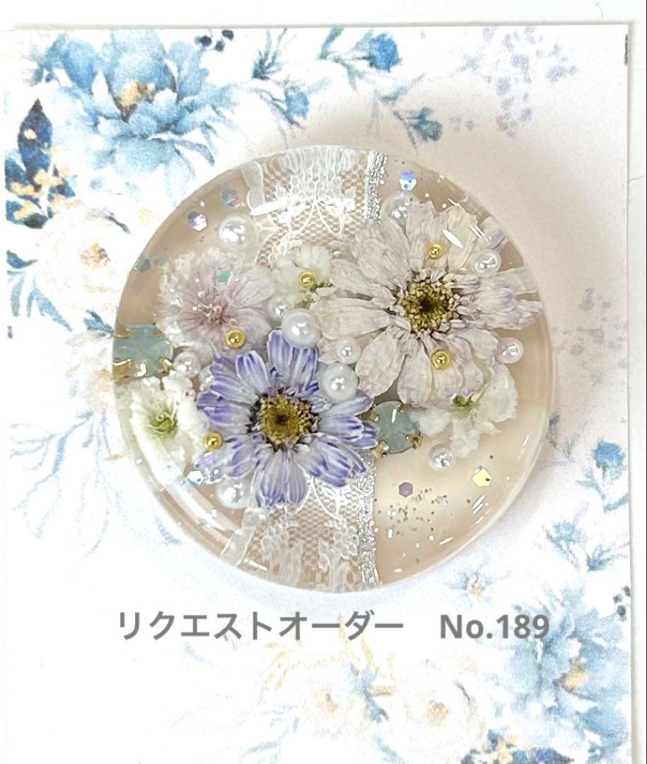 メグえもん　レジンヘアゴム　ポニーフック　ドライフラワー　No.183