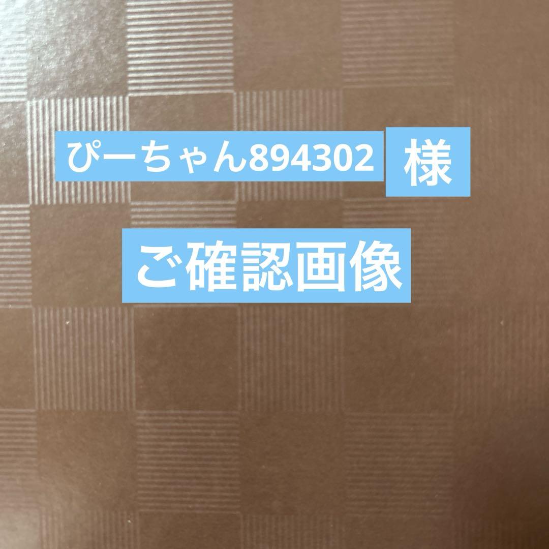 ぴーちゃん894302様　ご確認画像