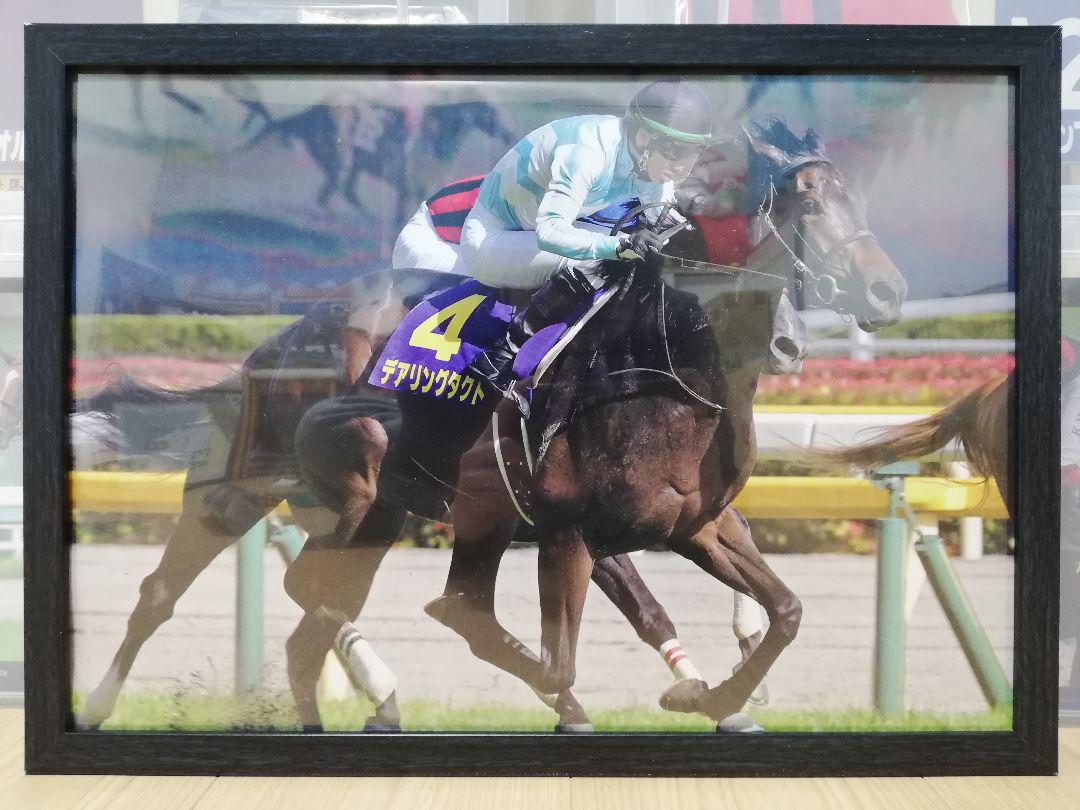 競馬.デアリングタクト.パネル.日刊競馬