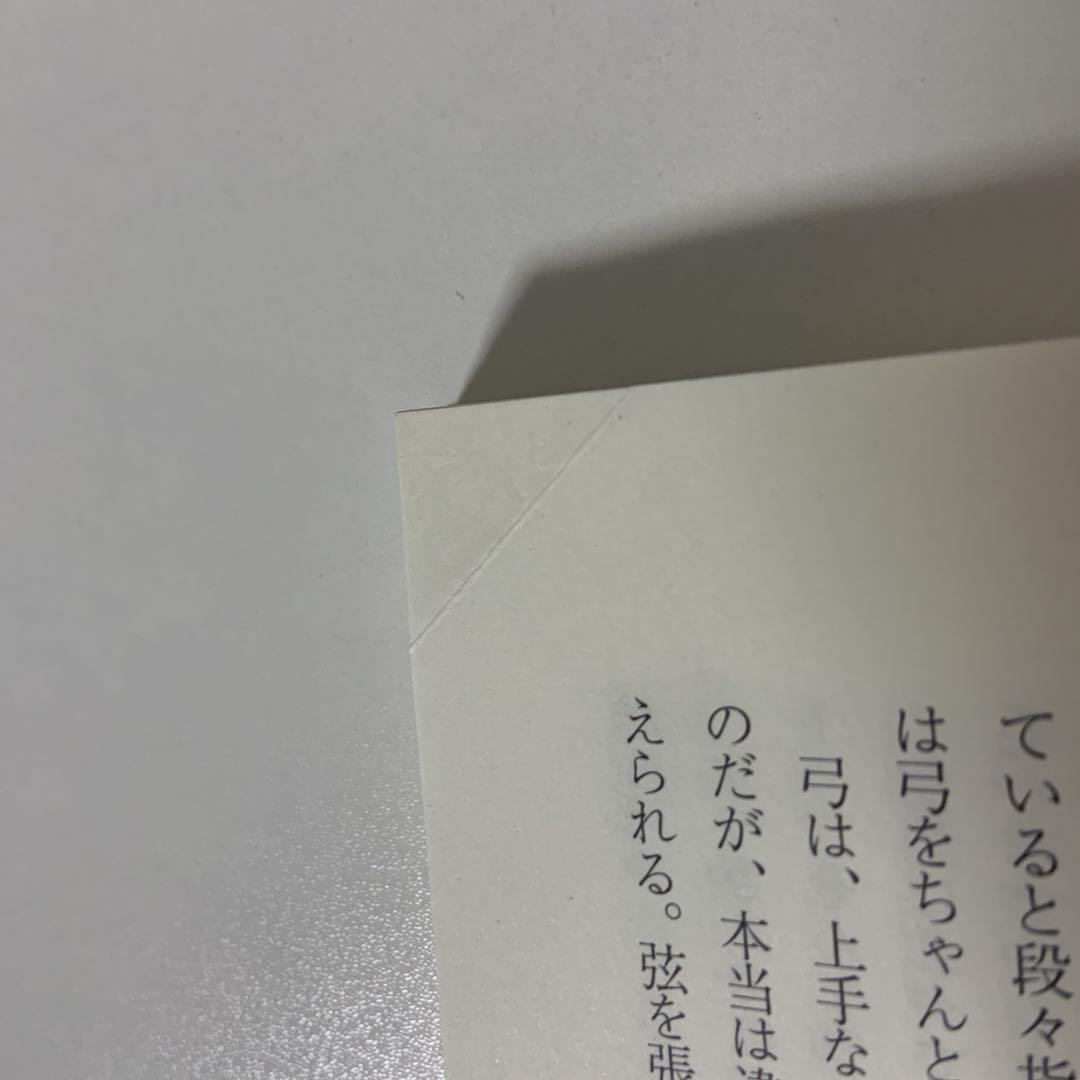 五本の柱 ヴァイオリン道 修行の旅