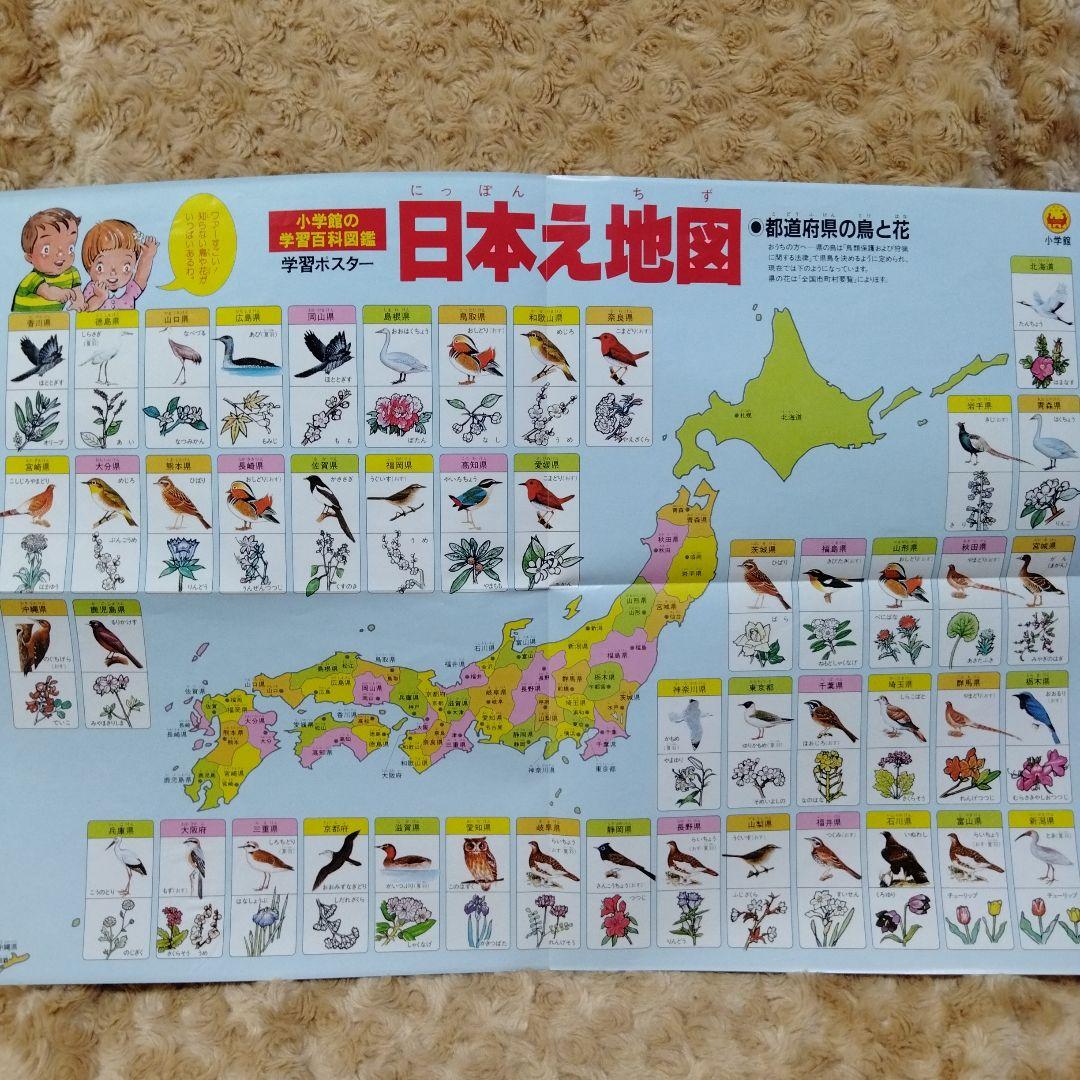 大量小学館の学習百科図鑑４４冊セット植物 昆虫 魚貝 鳥類 動物 地球 宇宙多数 大量小学館の学習百科図鑑44冊セット植物 昆虫 魚貝 鳥類 動物