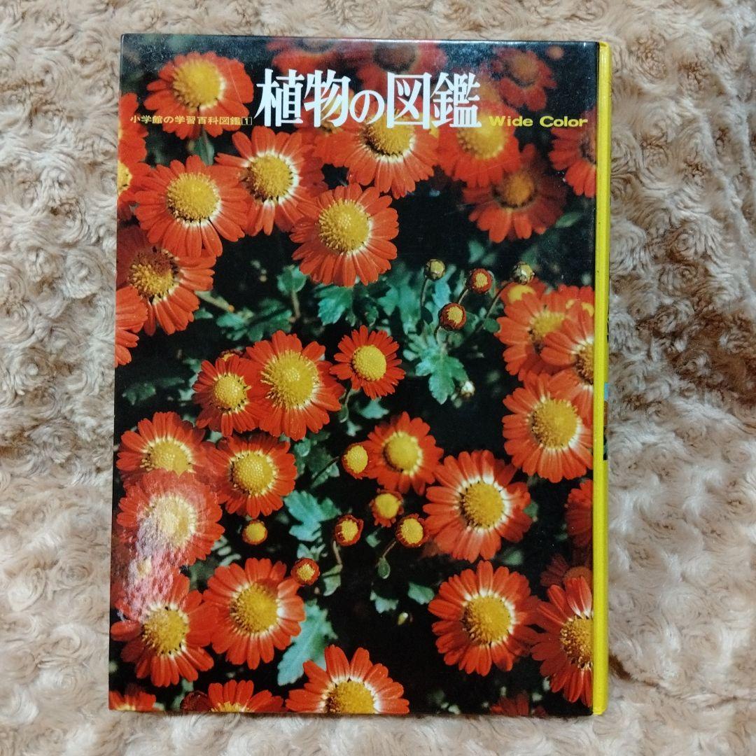 大量小学館の学習百科図鑑４４冊セット植物 昆虫 魚貝 鳥類 動物 地球 宇宙多数 大量小学館の学習百科図鑑44冊セット植物 昆虫 魚貝 鳥類 動物