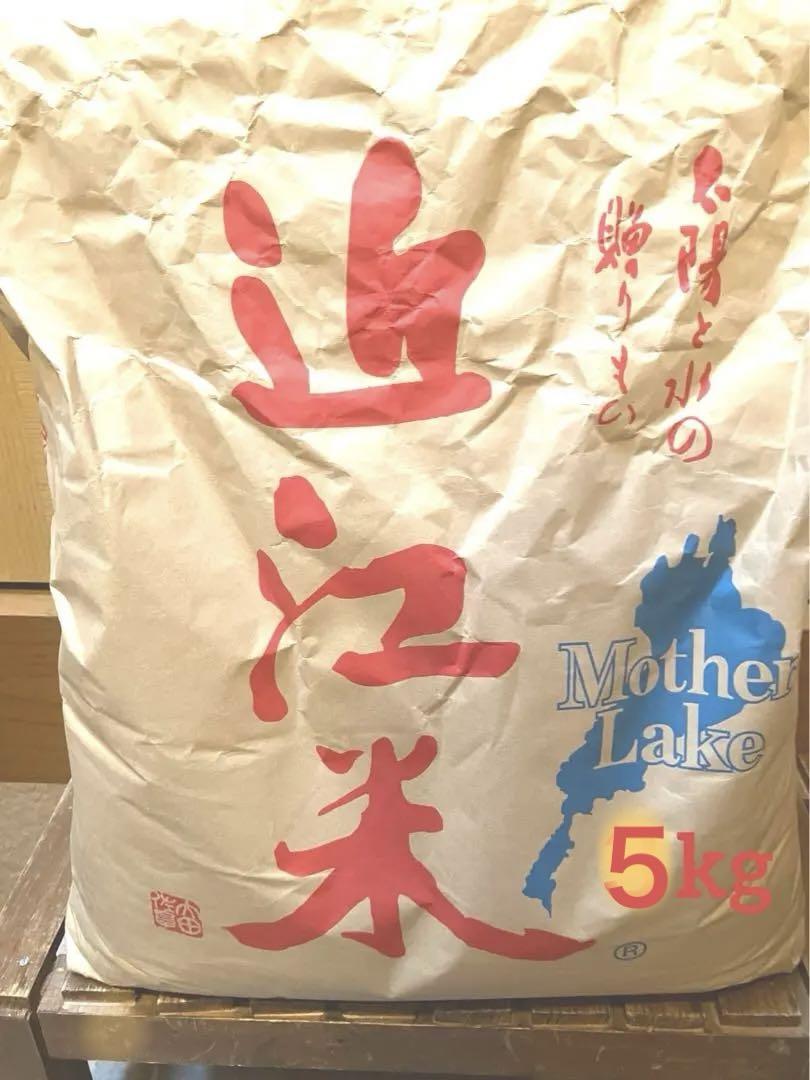 近江米コシヒカリ５キロ 令和6年産 ＊ご購入当日発送19時まで