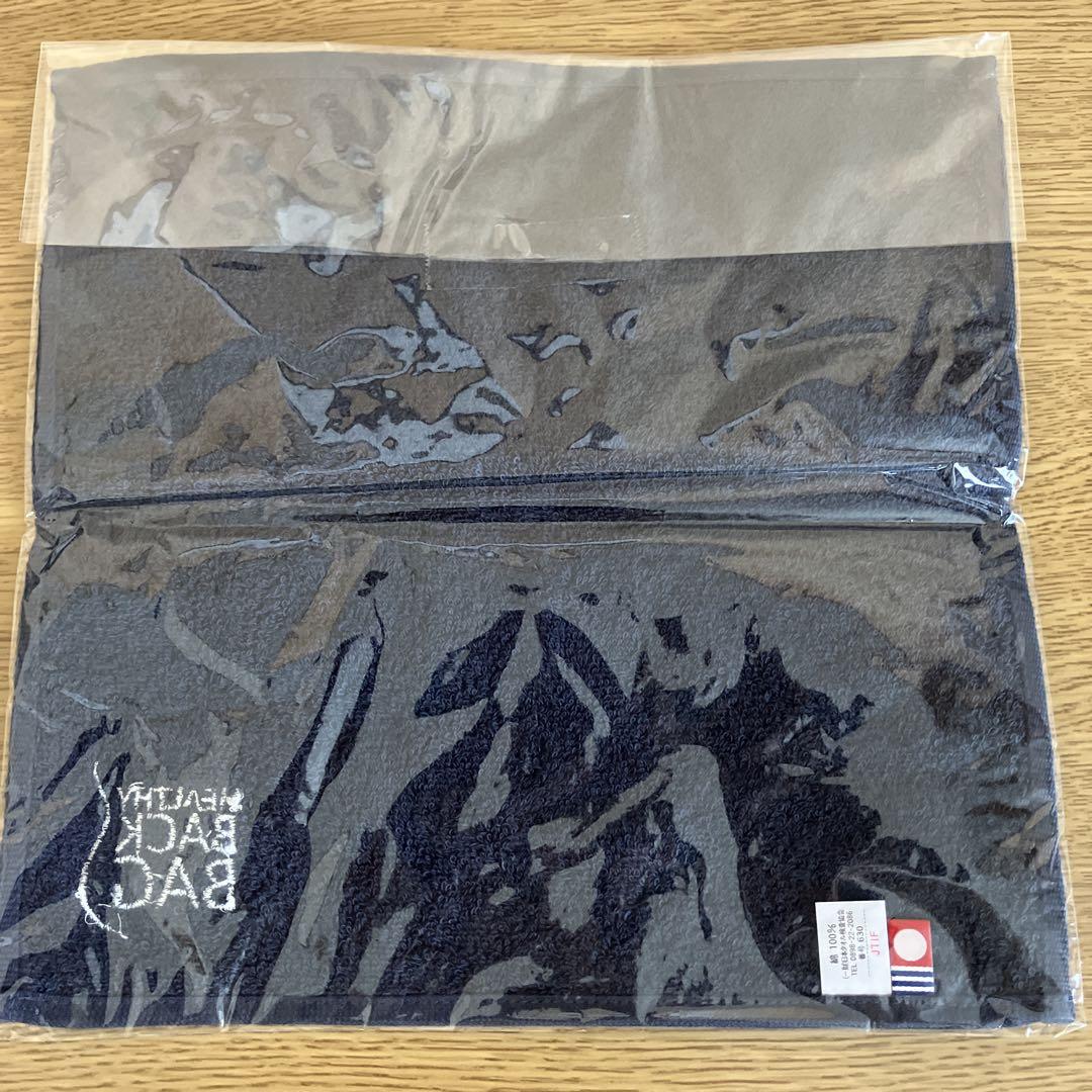 ヘルシーバックバッグ レザー製