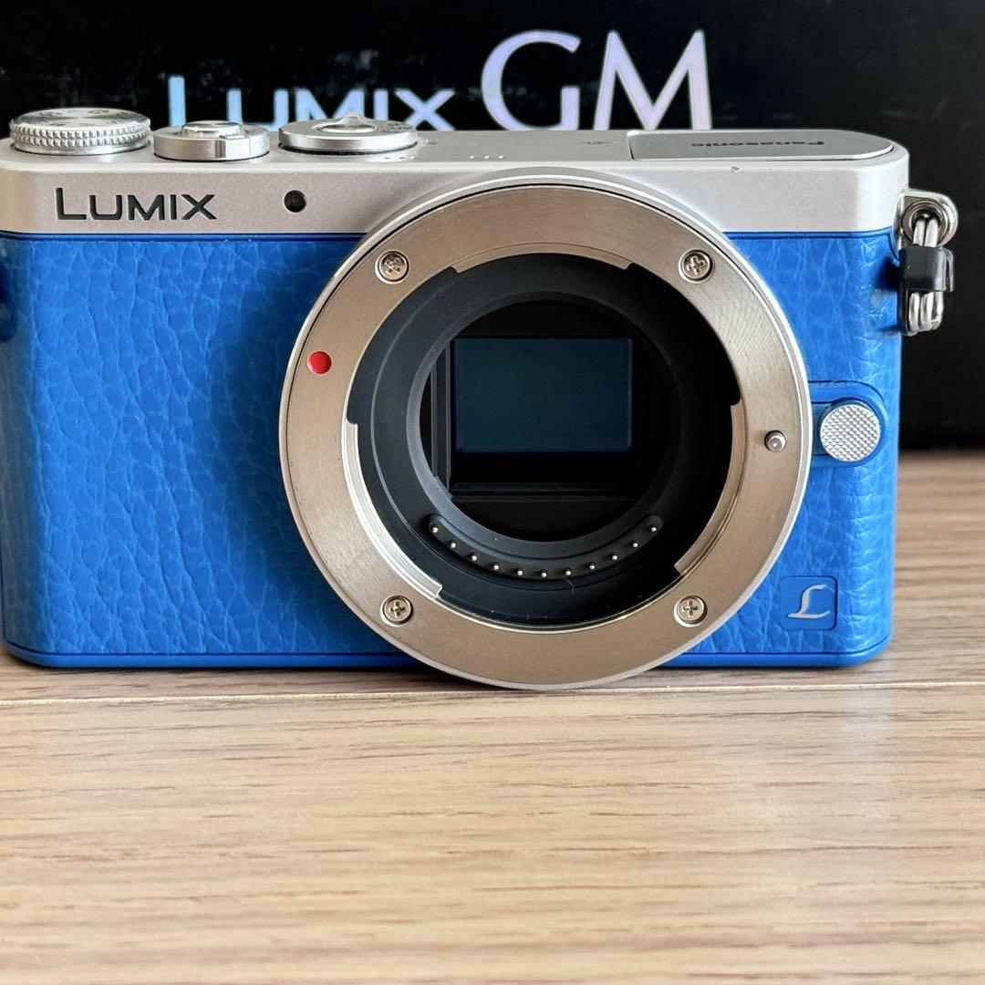 Panasonic