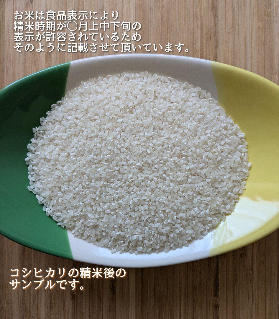 令和6年産三重県伊賀産コシヒカリ20㎏ 5㎏×4 白米（送料精米料