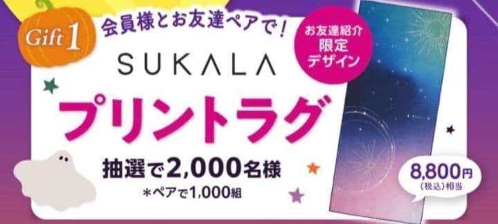 非売品】【新品未使用】LAVA SUKALA 限定プリントラグ ヨガラグ - メルカリ 非売品】【新品未使用】LAVA SUKALA 限定プリントラグ ヨガラグ - メルカリ