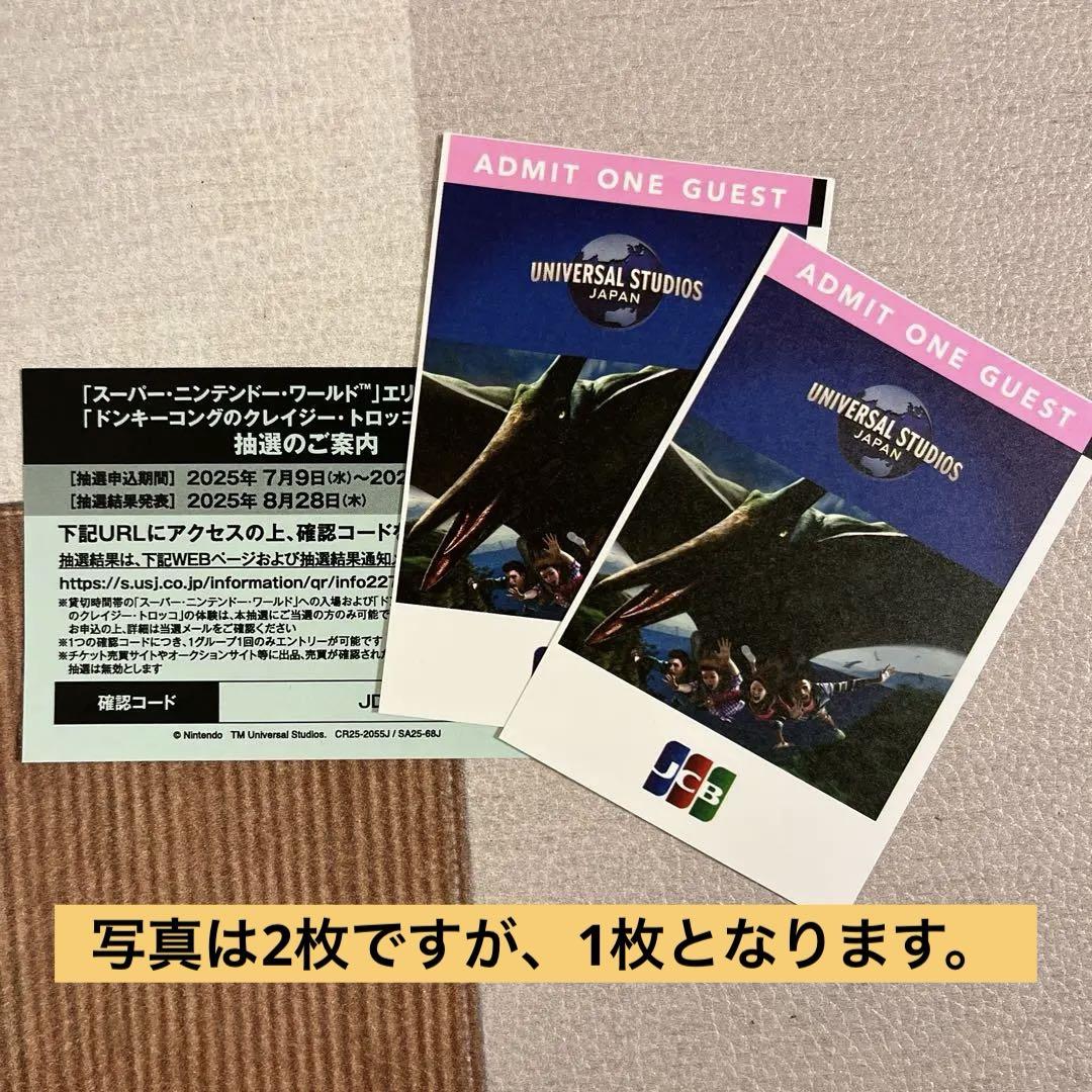 ユニバーサルスタジオジャパン入場券 ユニバーサル・スタジオ・ジャパン 入場券 2枚 USJ