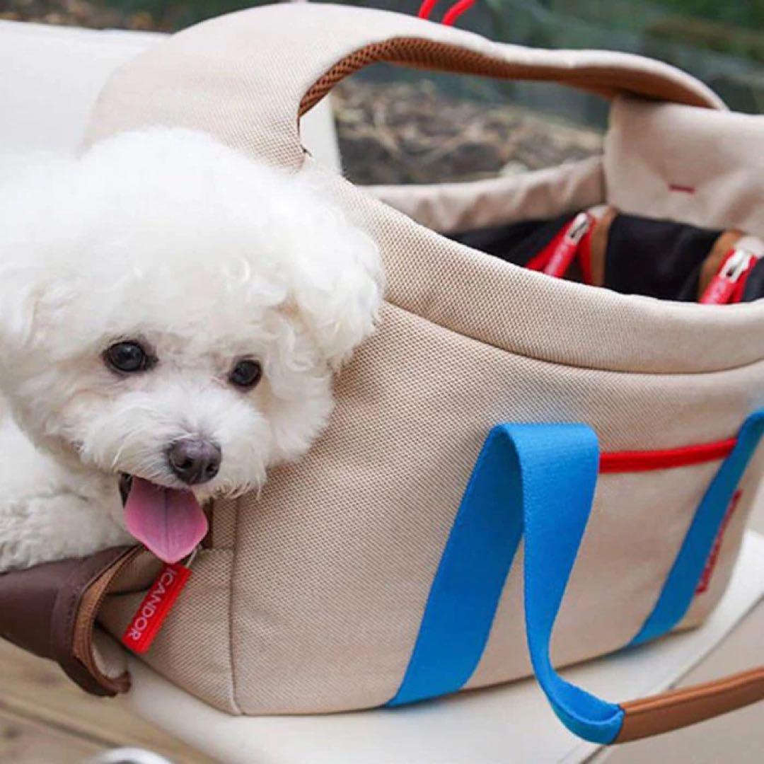 【ICANDOR】PEEK-A-BOO BAG（MELTING CREAM） M