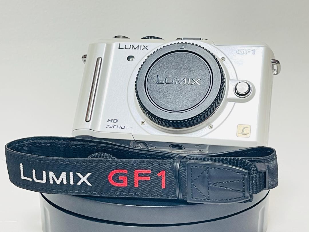 PANASONIC LUMIX DMC-GF1 パナソニック ルミックス 動作品