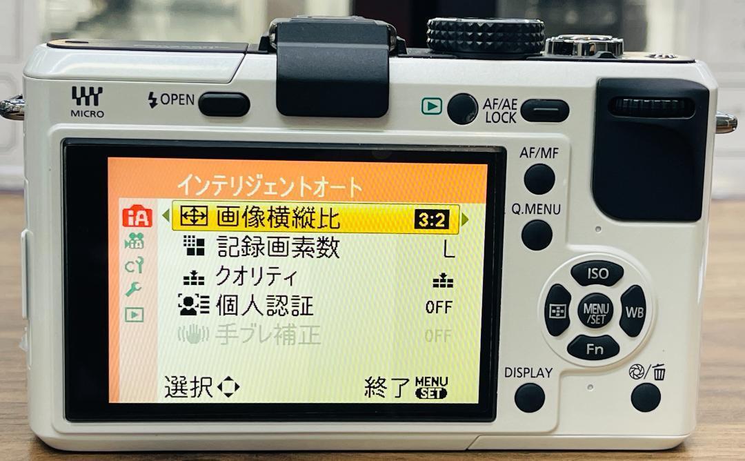 PANASONIC LUMIX DMC-GF1 パナソニック ルミックス 動作品