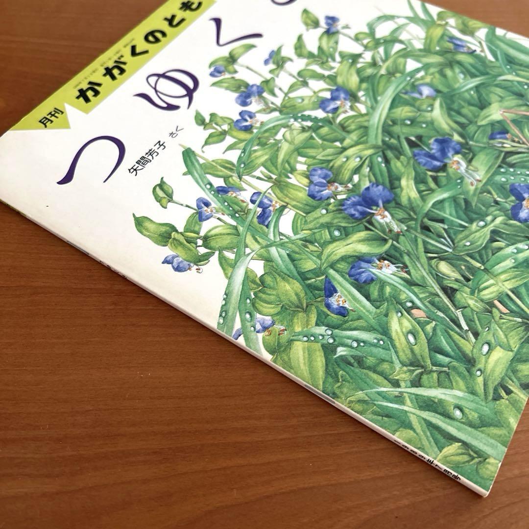 絶版希少】 つゆくさ かがくのとも 福音館書店 - メルカリ