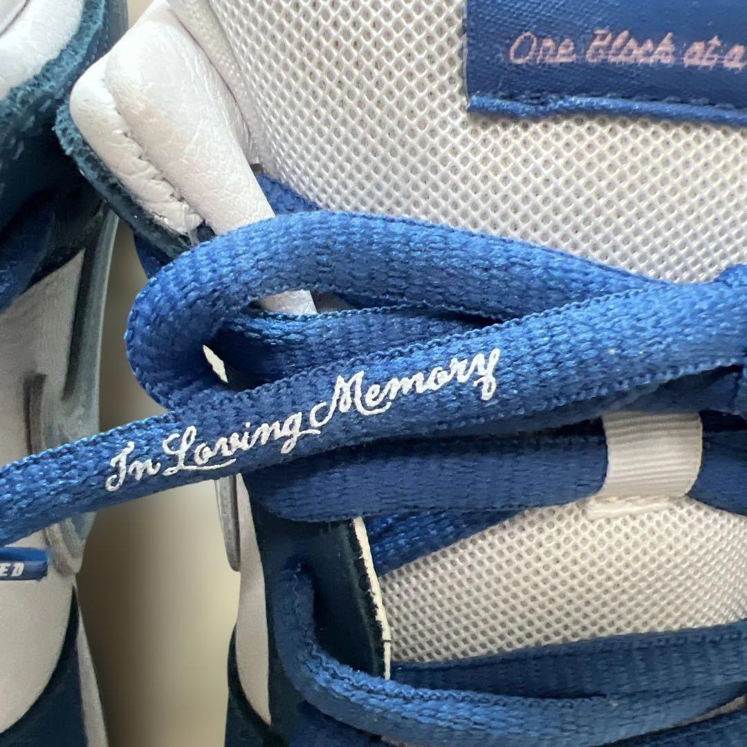 born x Raised nike sb US9