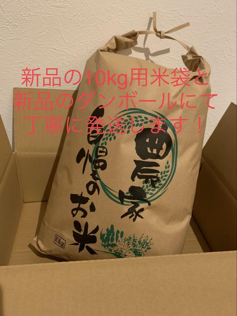 精米済み10キロ【農家直送！】新潟県産こしいぶき　特別栽培米　6年産　低温冷蔵