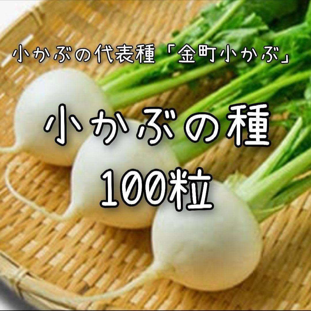 ぴーまん様 PUMA公式】メンズ バスケットボール HOOPS x マンチェスター
