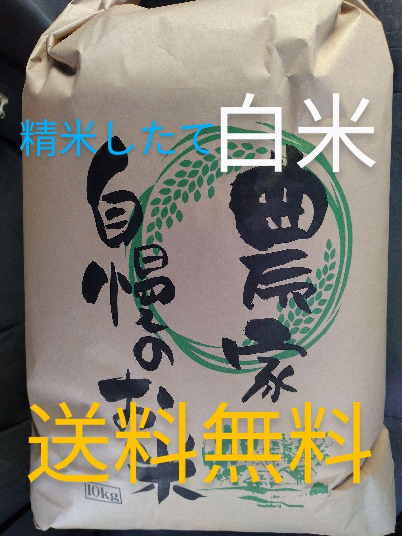 ヒノヒカリ 白米 10kg