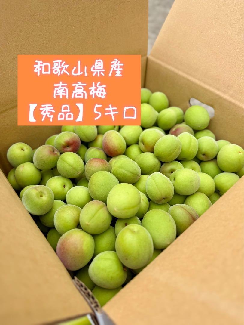和歌山県産 南高梅　秀品 5キロ