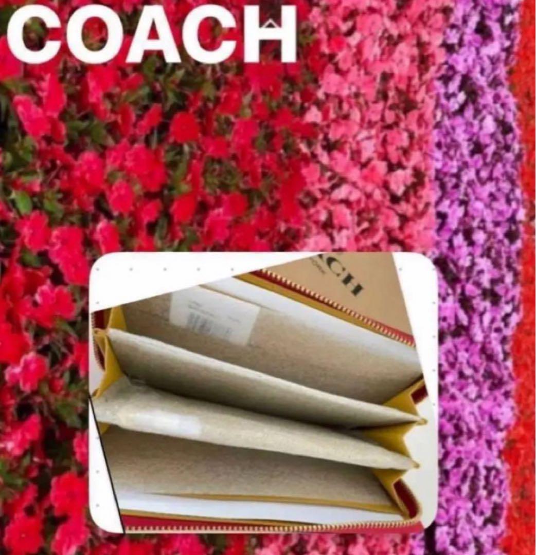 コーチストラップ付長財布ディズニーキースヘリングコラボcoachアウトレット商品