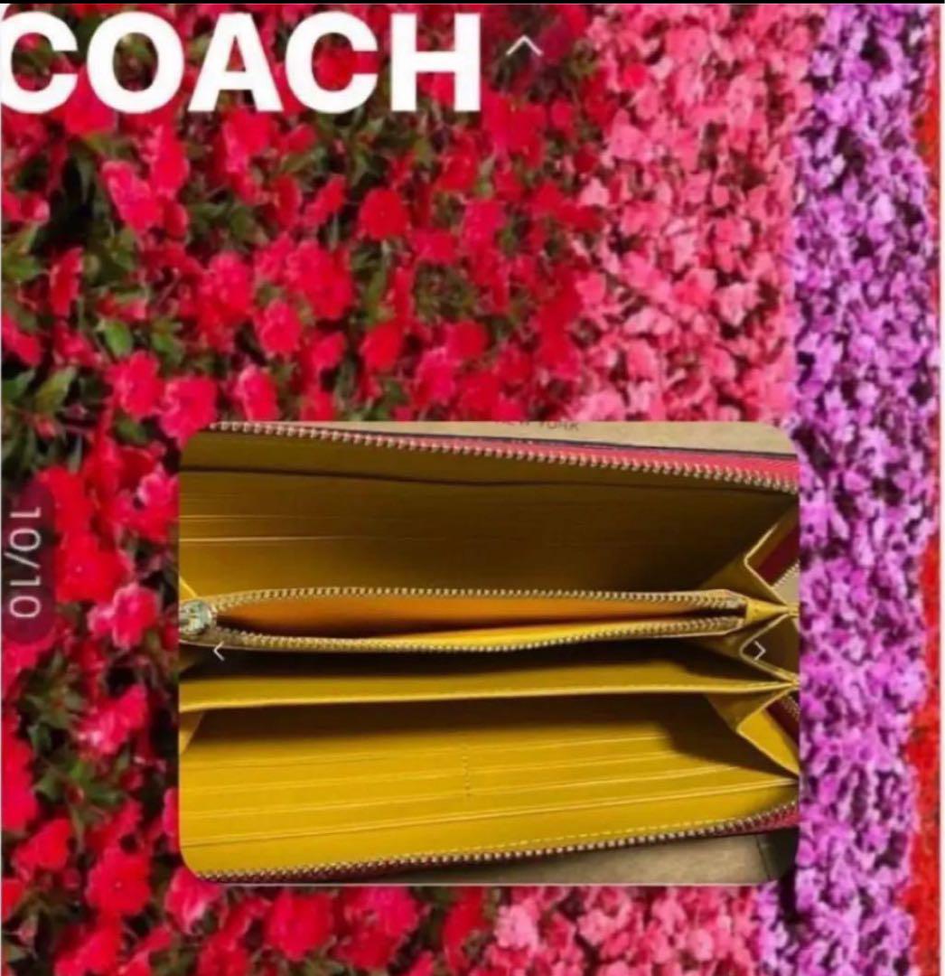 コーチストラップ付長財布ディズニーキースヘリングコラボcoachアウトレット商品