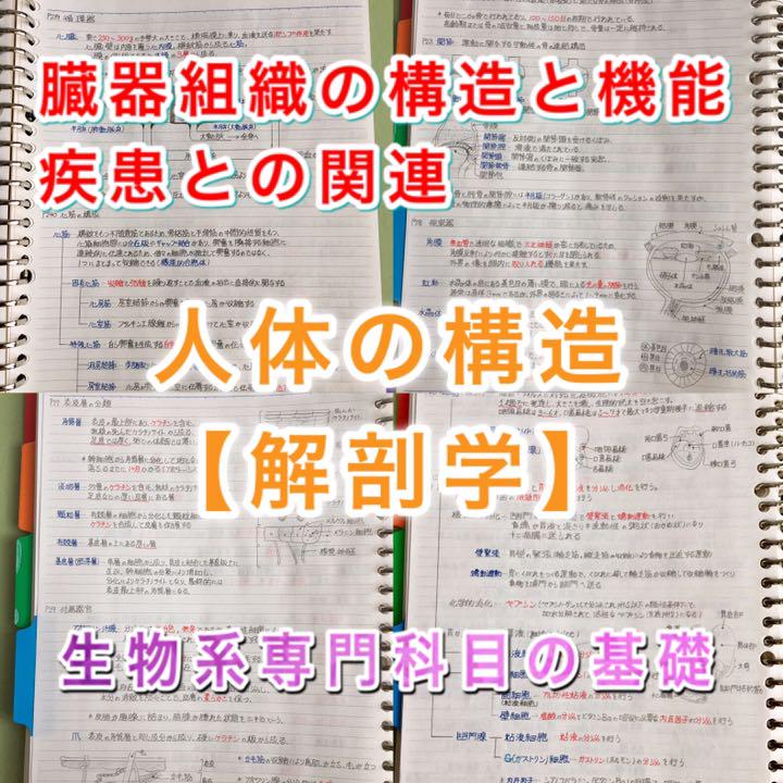 解剖生理+重要項目+頻出疾患まとめノート 3セット 解剖生理+重要項目+頻出疾患まとめノート 3セット｜Yahoo!フリマ