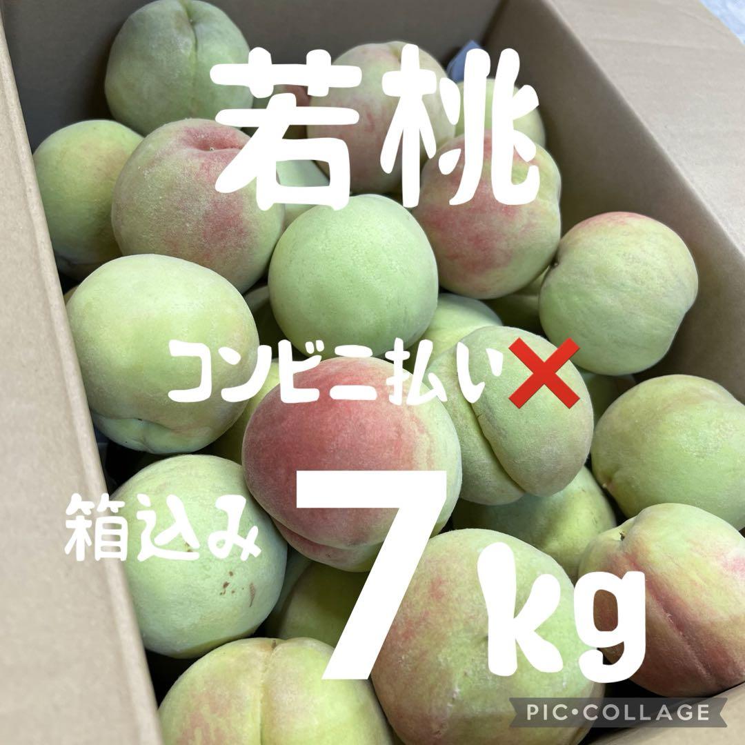 ②若桃 本日発送 ！