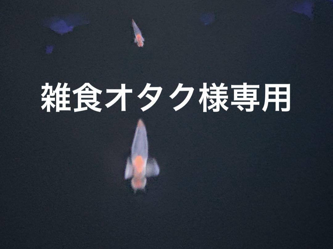 雑食オタク