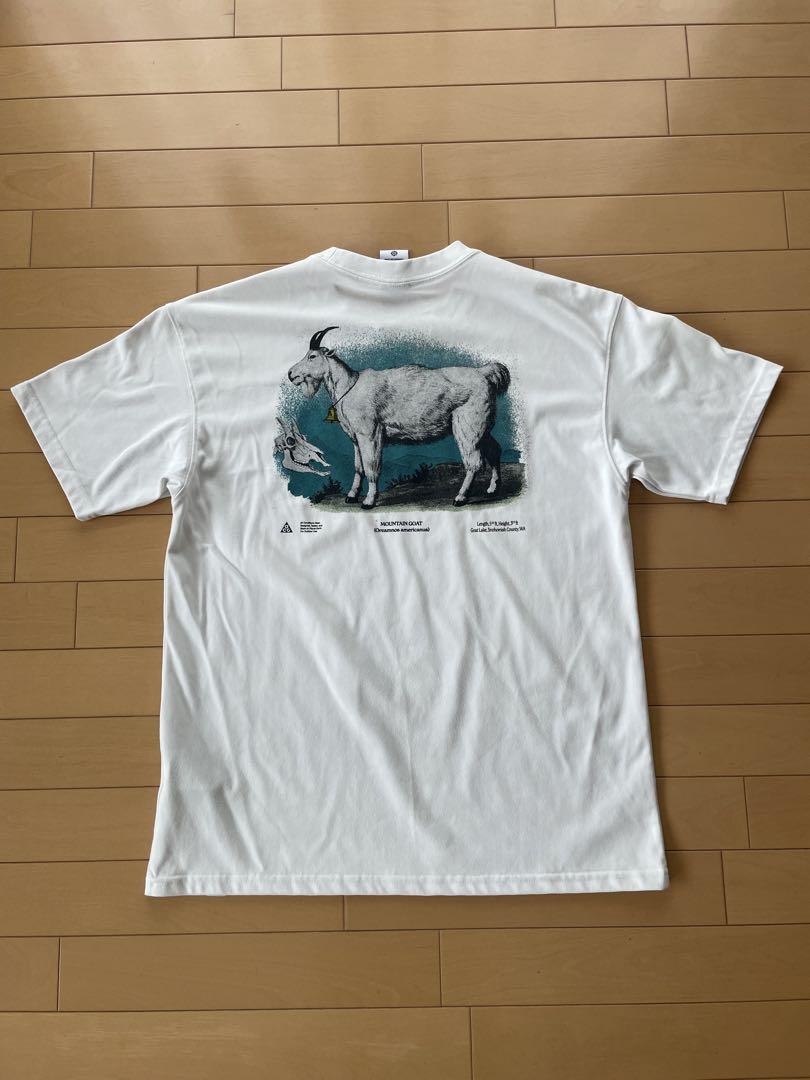 NIKE ナイキ ACG GOAT Tシャツ バックプリント ホワイト Mサイズ
