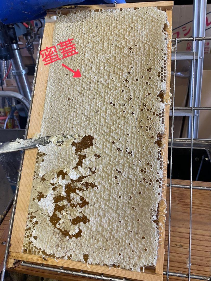 国産天然蜜蝋　ミツロウ　1KG　扱いやすいビーズ型