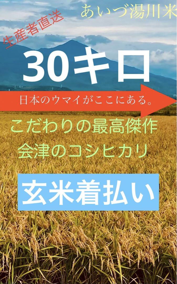令和6年産　コシヒカリ　玄米30キロ