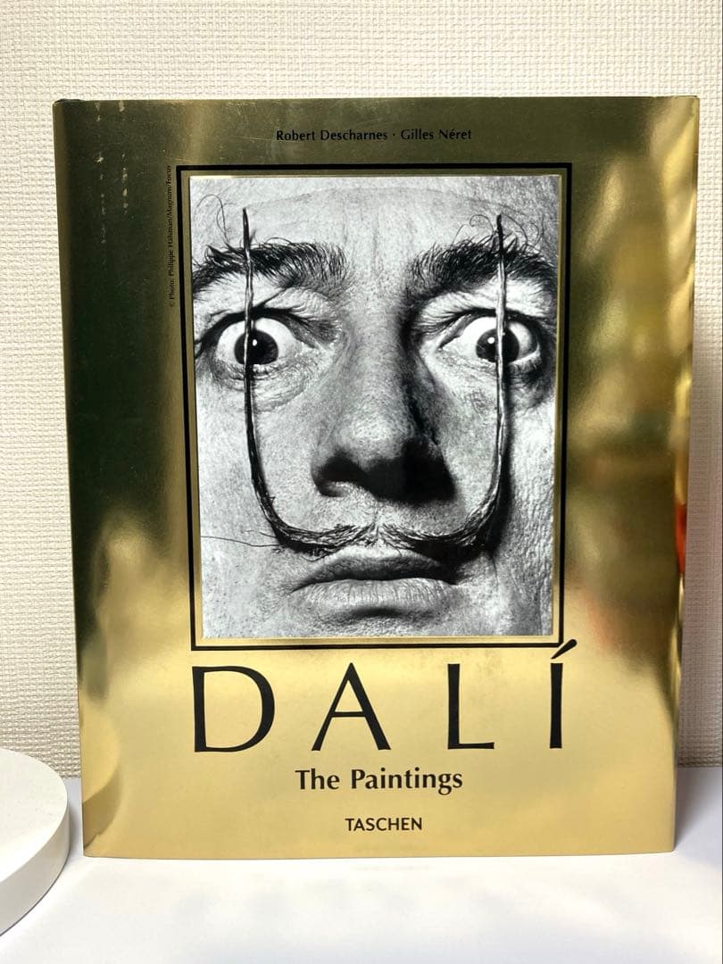 未読 DALÍ The Paintings ダリ画集 英語版