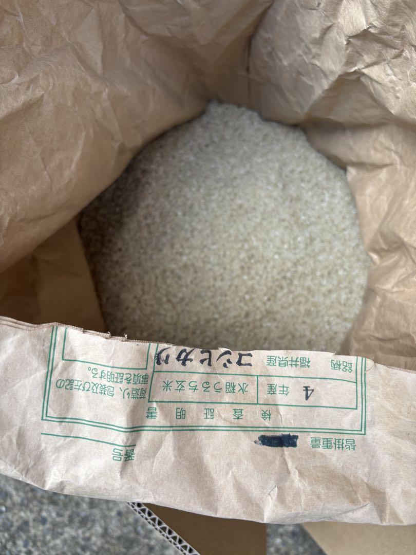 令和4年産　コシヒカリ　古米　精米済み　14kg