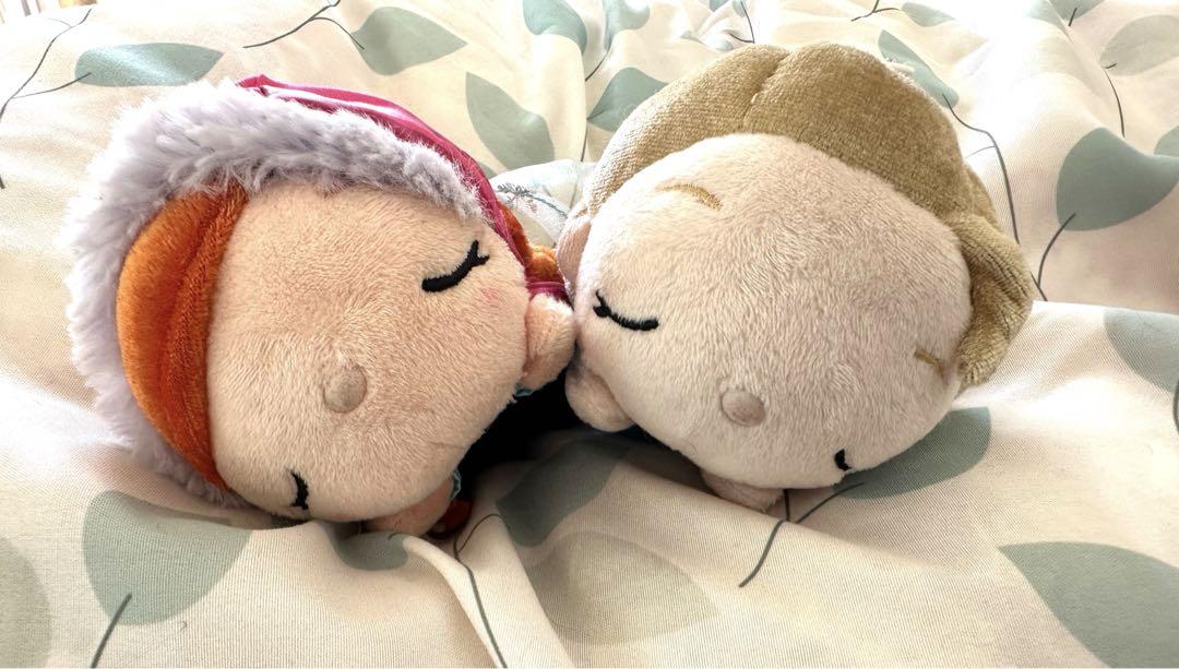 ディズニー ストア アナ雪 エルサ アナ ぬいぐるみ キーホルダー