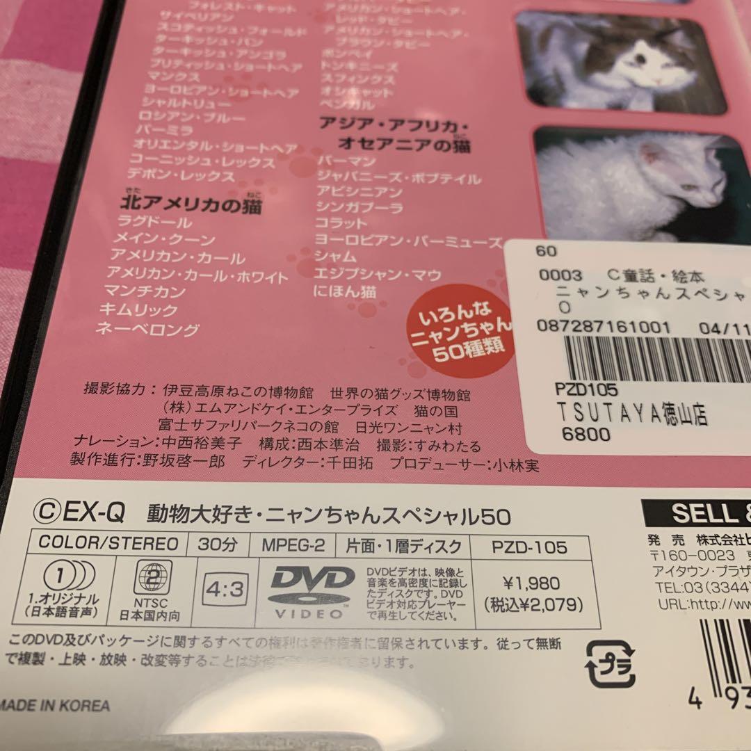 好評 キッズDVD《動物大好きニャンちゃんスペシャル50》【幼児〜低 邦画・日本映画